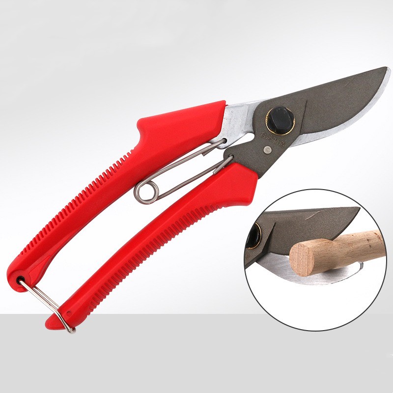 Professional Pruning Shears