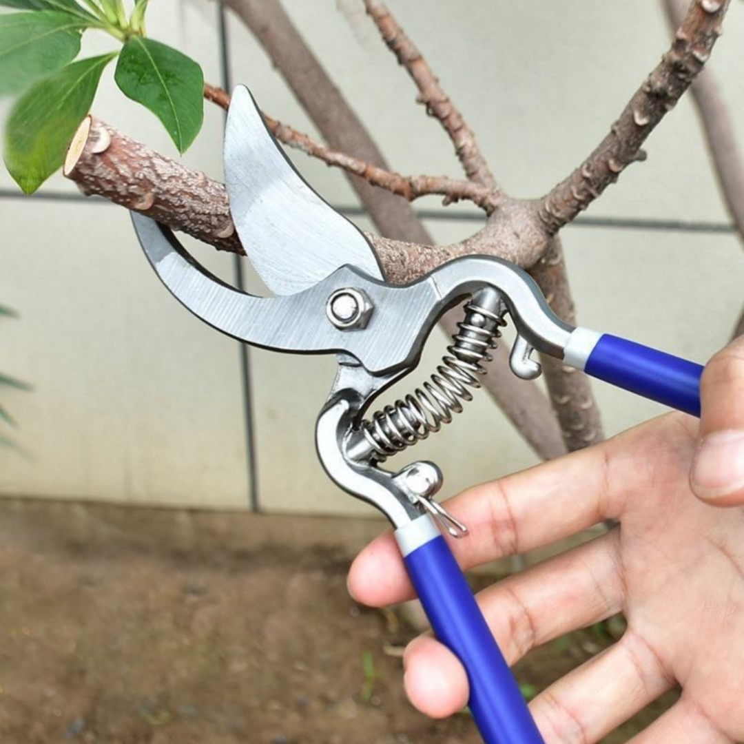 Heavy-Duty Garden Shears