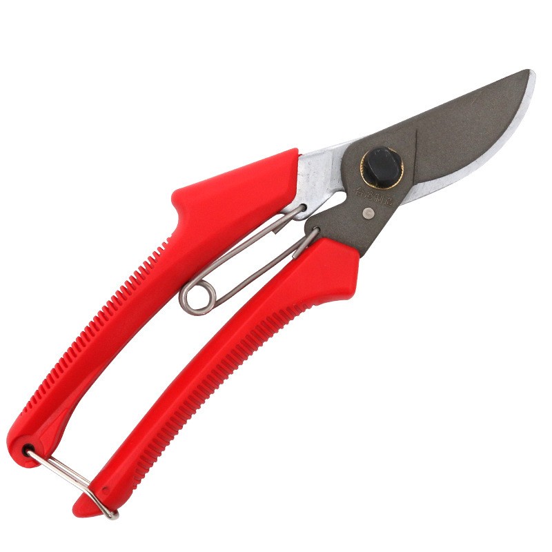 Professional Pruning Shears